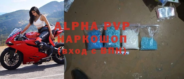 стафф Арсеньев