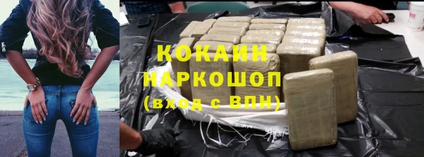 стафф Арсеньев