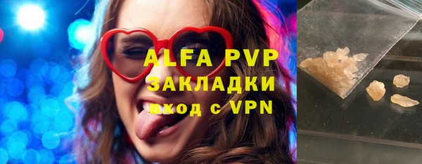 стафф Арсеньев