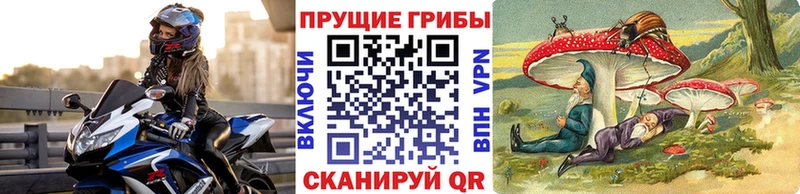 Галлюциногенные грибы MAGIC MUSHROOMS  где купить наркотик  Спасск-Дальний 